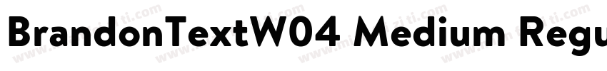 BrandonTextW04 Medium Regular字体转换